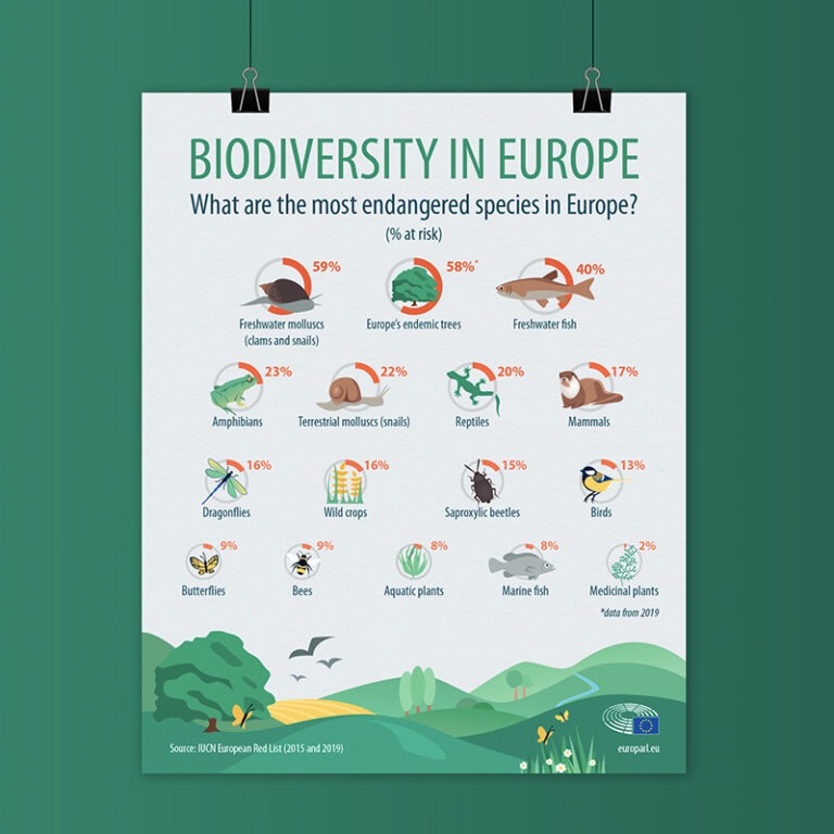Infographie réalisée pour le Parlement Européen sur la biodiversité en Europe , elle présente les espèces les plus en danger et est illustrée