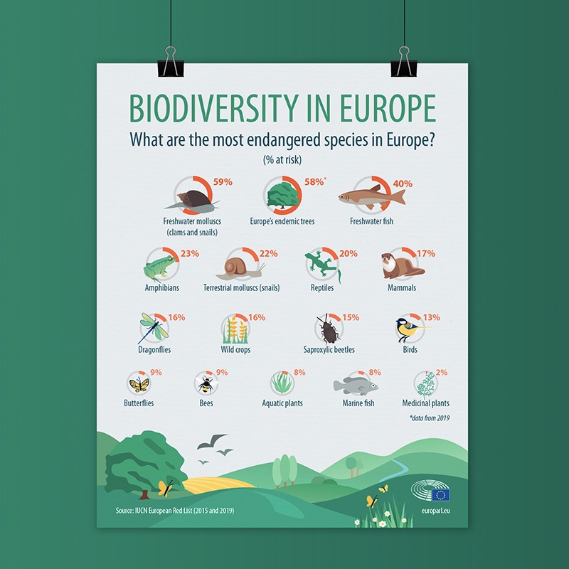 Infographie réalisée pour le Parlement Européen sur la biodiversité en Europe , elle présente les espèces les plus en danger et est illustrée