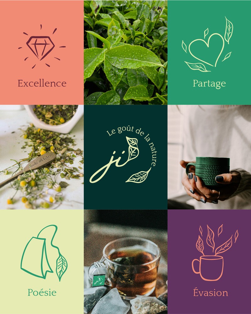 Identité visuelle de la marque de thé : le jardin infusé développé à travers un moodboard et le choix des couleurs
