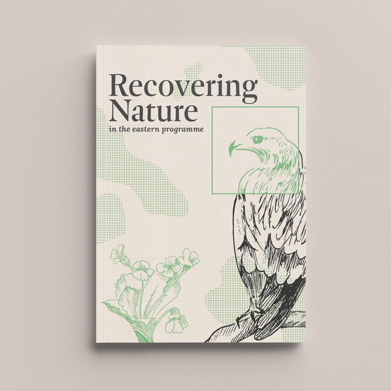 Illustration de la couverture de la brochure Birdlife, créée pour une ONG engagée dans la réhabilitation de la nature.