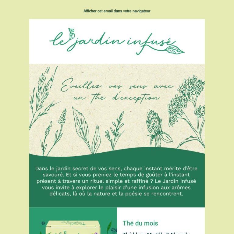 Newsletter avec une bannière illustrée