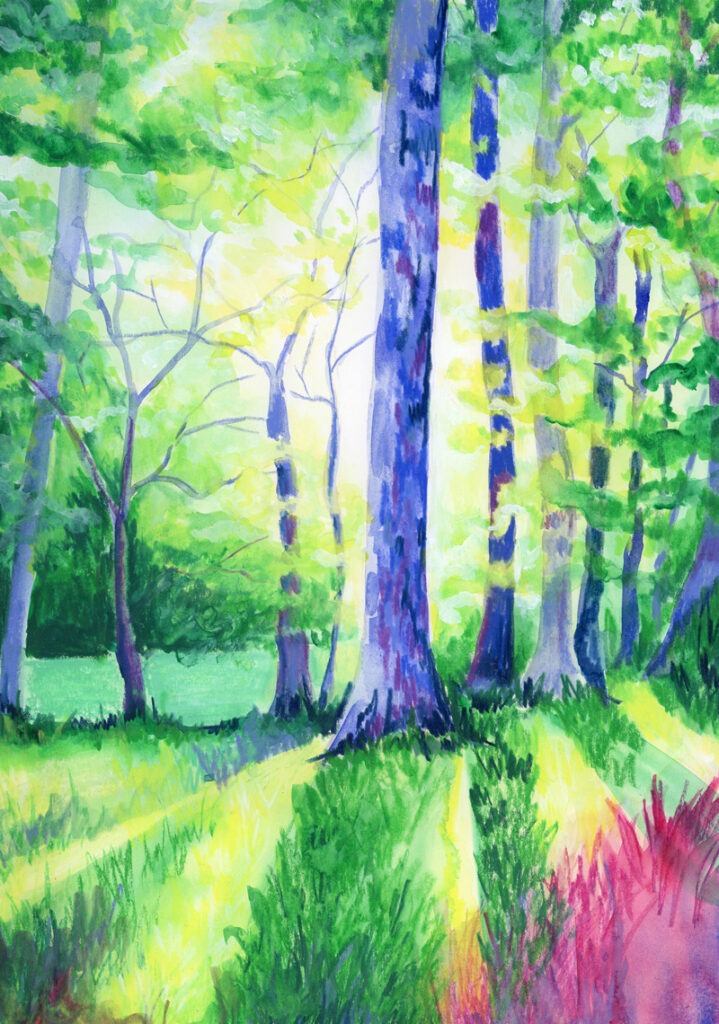 Illustration à l’aquarelle et pastel à la cire d’une forêt printanière où la lumière filtre doucement entre les troncs.