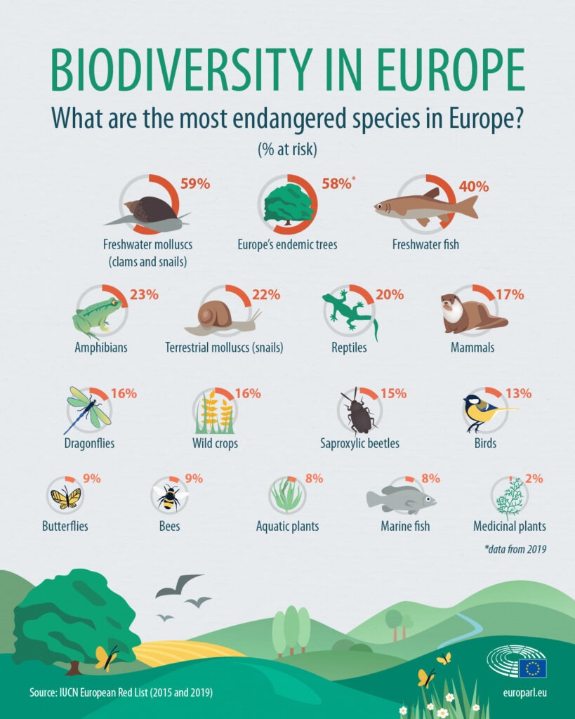 Infographie réalisée pour le Parlement Européen sur la biodiversité en Europe , elle présente les espèces les plus en danger et est illustrée