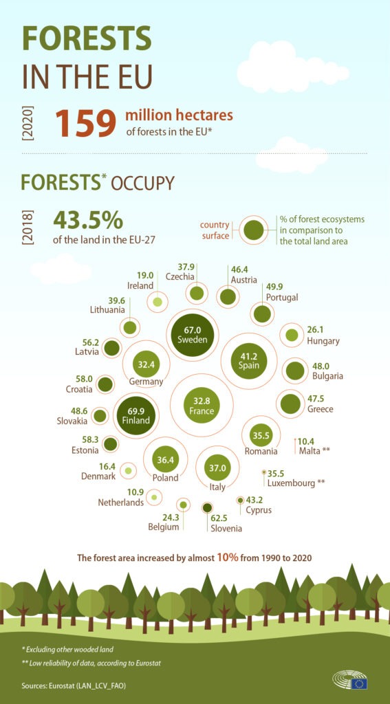 Infographie illustrant la part du territoire recouverte par des forêts dans chaque pays européen, avec un comparatif visuel par carte et graphiques.